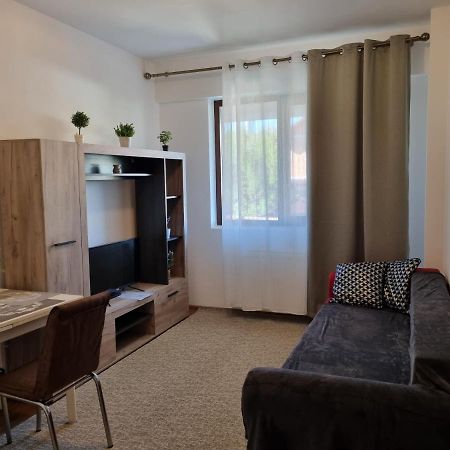 Ultracentral & Cozy, Palas Apt Iasi Exterior foto